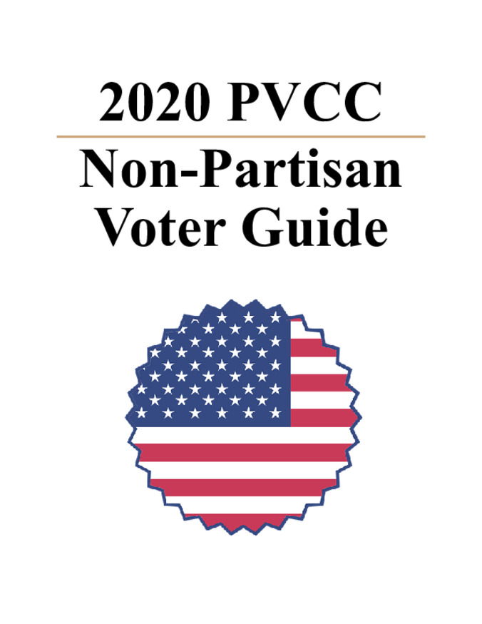 2020 Voter Guide miniatura