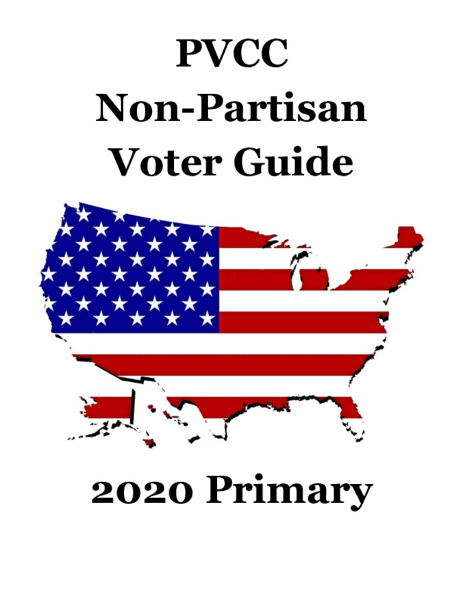 2020 Primary Voter Guide Miniaturansicht