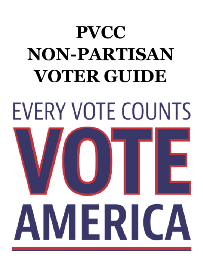2017 Voter Guide miniatura